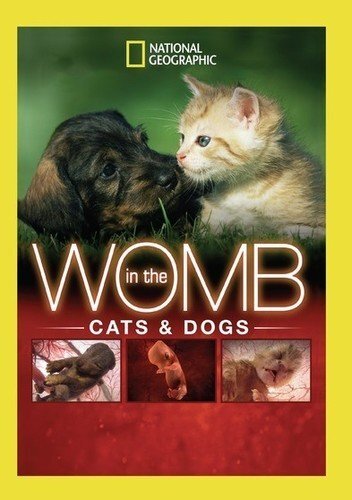 In The Womb: Cats & Dogs (DVD)
