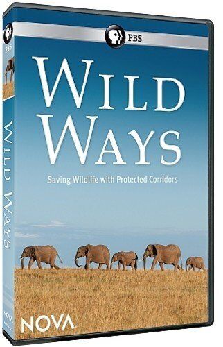 NOVA: Wild Ways DVD (DVD)