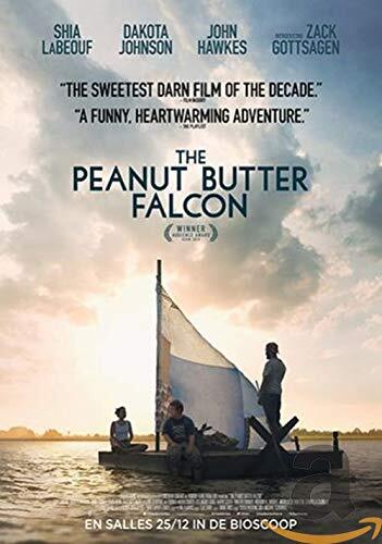 The peanut butter falcon (DVD)