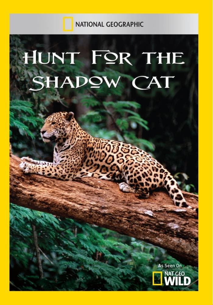 Hunt for the Shadow Cat (DVD)