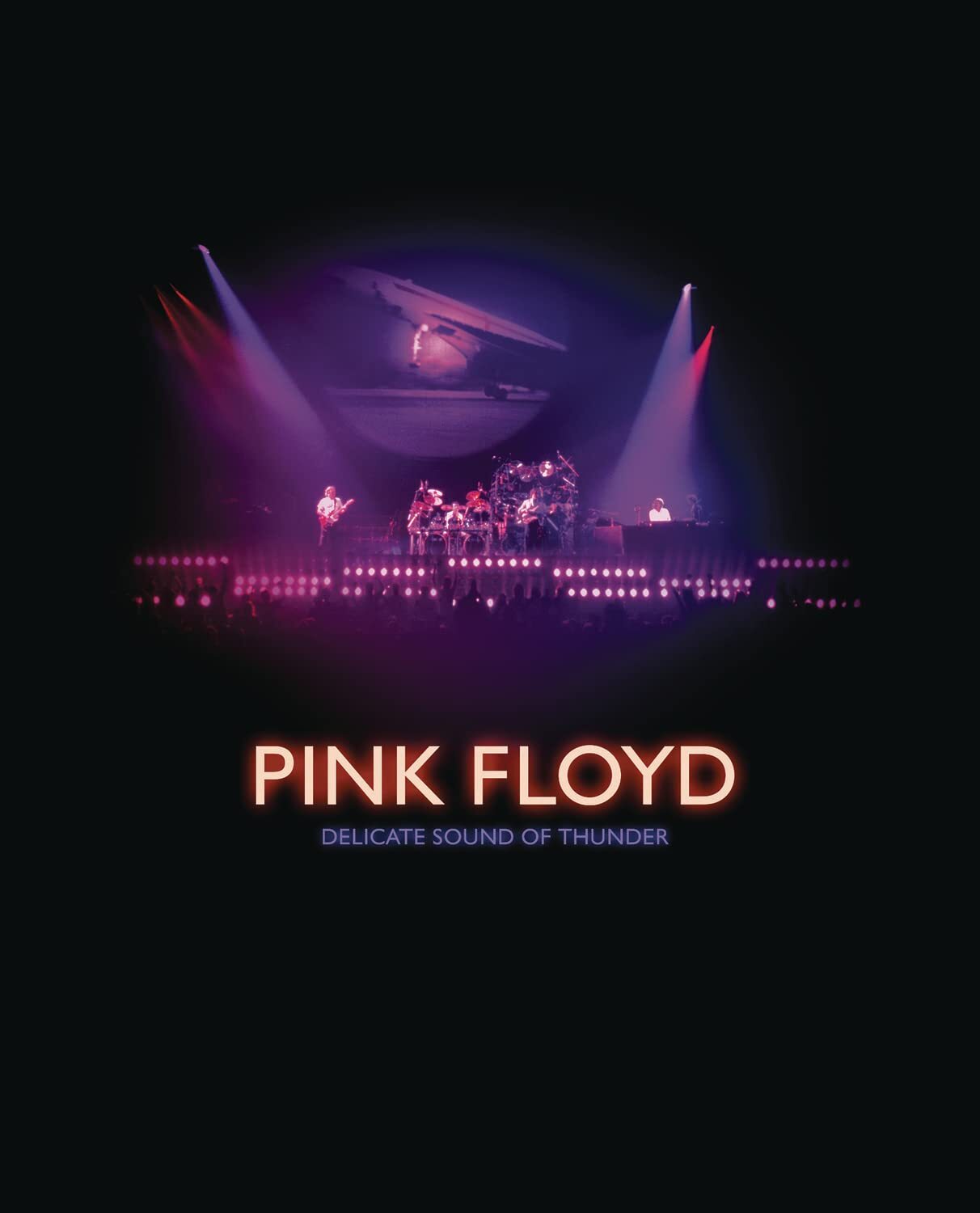DELICATE SOUND OF THUNDER (Blu-ray)