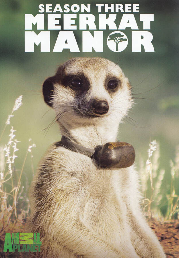 Meerkat Manor - Stagione 3 Nuovo DVD