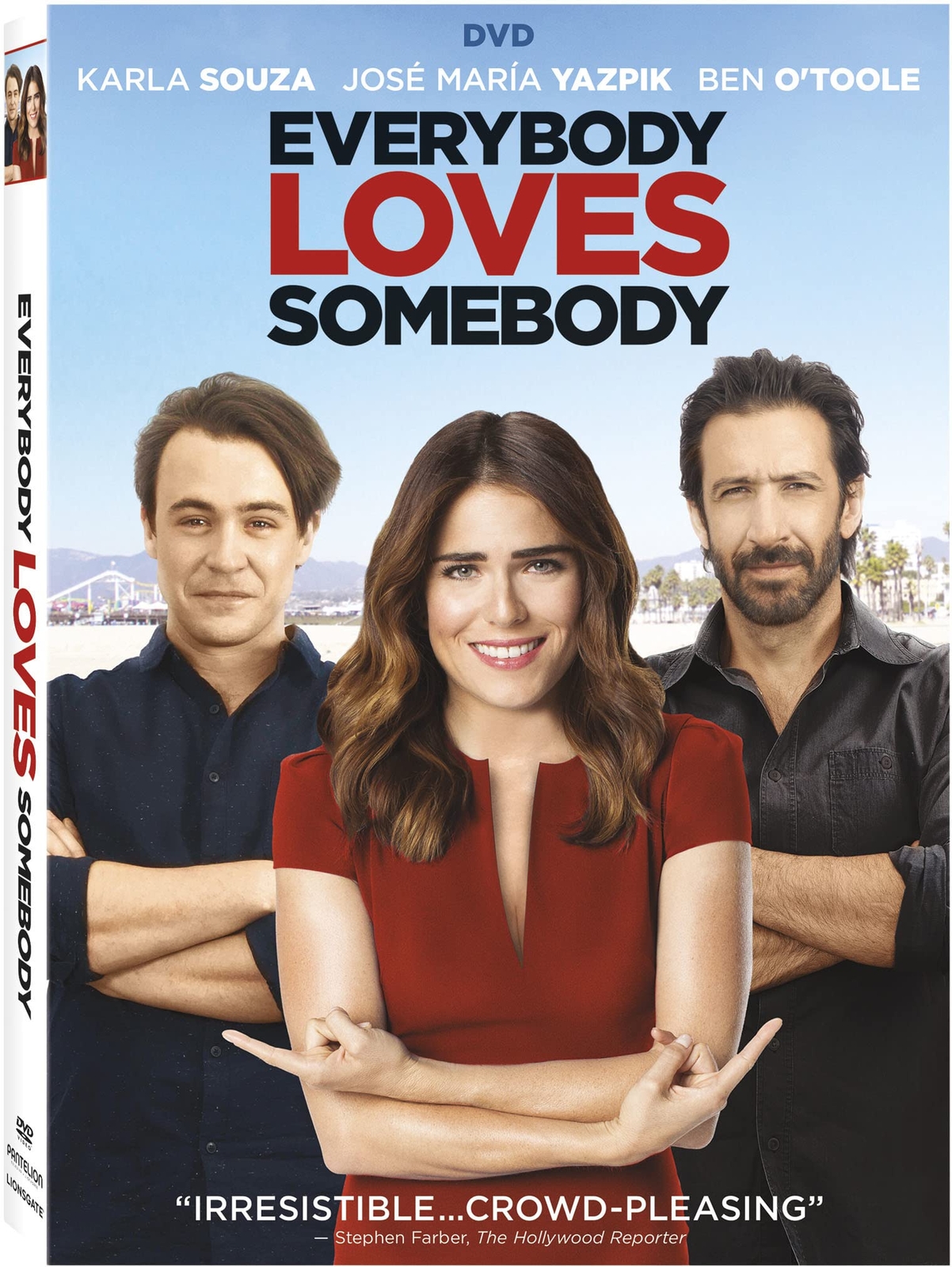 Everybody Loves Somebody (DVD)