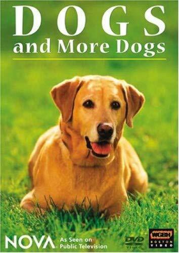 NOVA: Dogs and More Dogs (DVD)