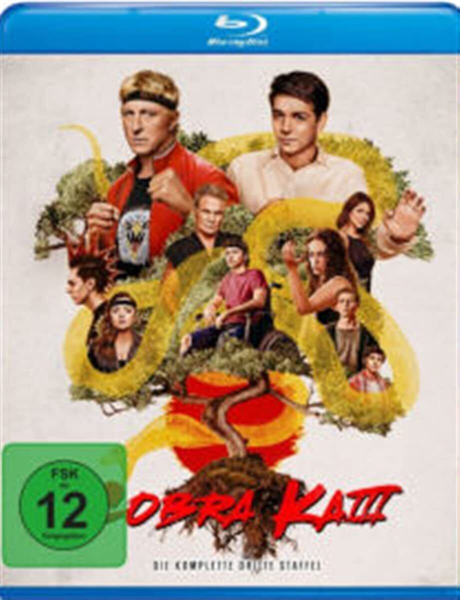 Cobra Kai, Season 3 / BR (Blu-ray)