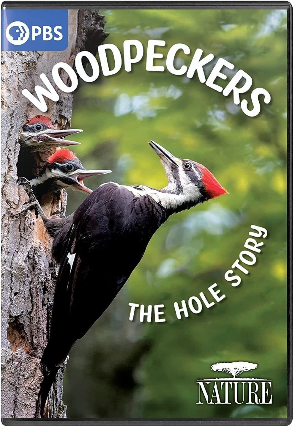 NATURE: Woodpeckers - The Hole Story (DVD)