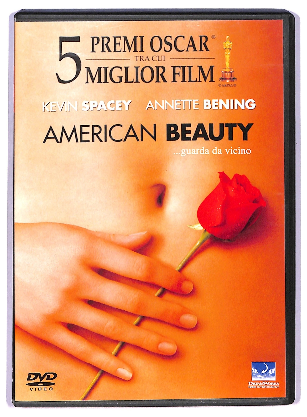 EBOND American Beauty DVD D764332