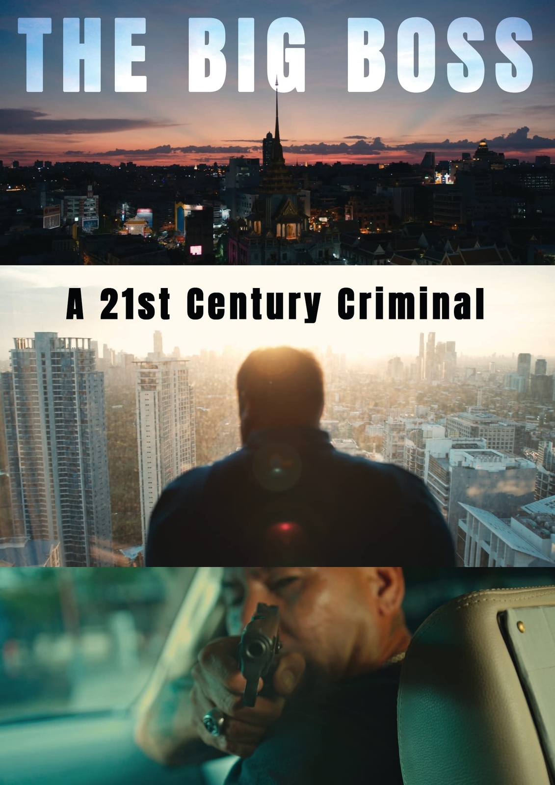 The Big Boss: A 21st Century Criminal (DVD) Stephen Beckett