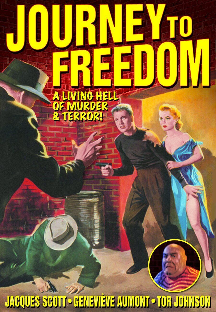 Journey to Freedom (DVD)