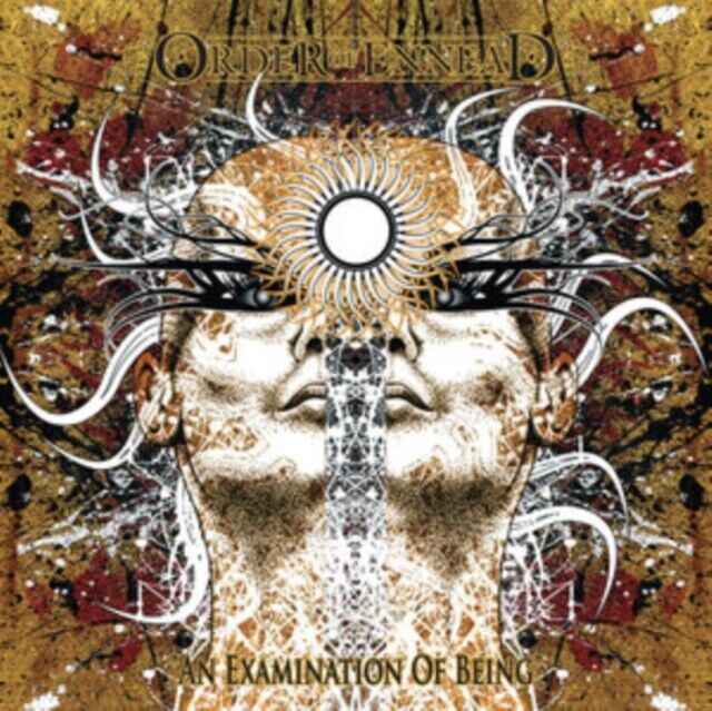 An Examination Of Being?