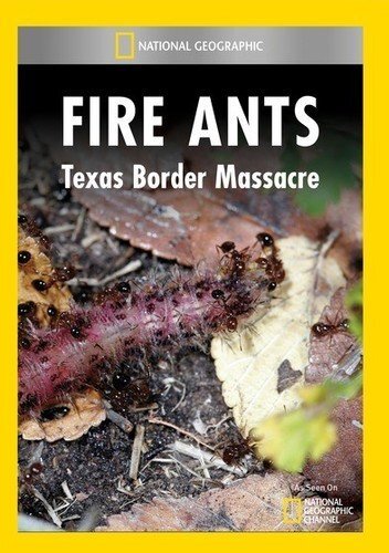 Fire Ants: Texas Border Massacre (DVD)