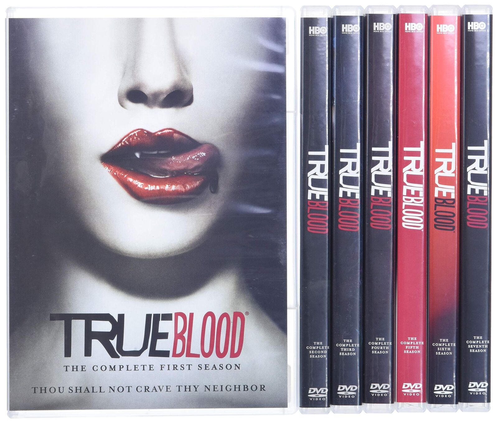 True Blood: The Complete Series (DVD) (DVD)