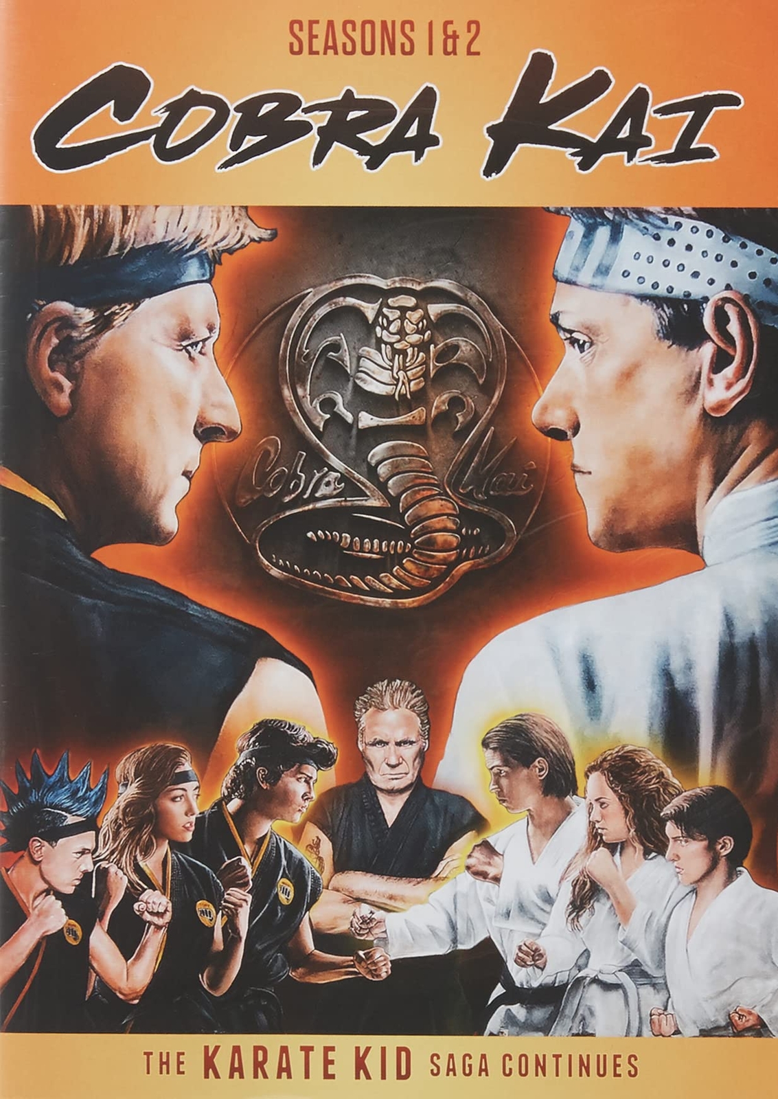 Cobra Kai - Season 01 / Cobra Kai - Season 02 - Set (DVD) Macchio Ralph Zabka