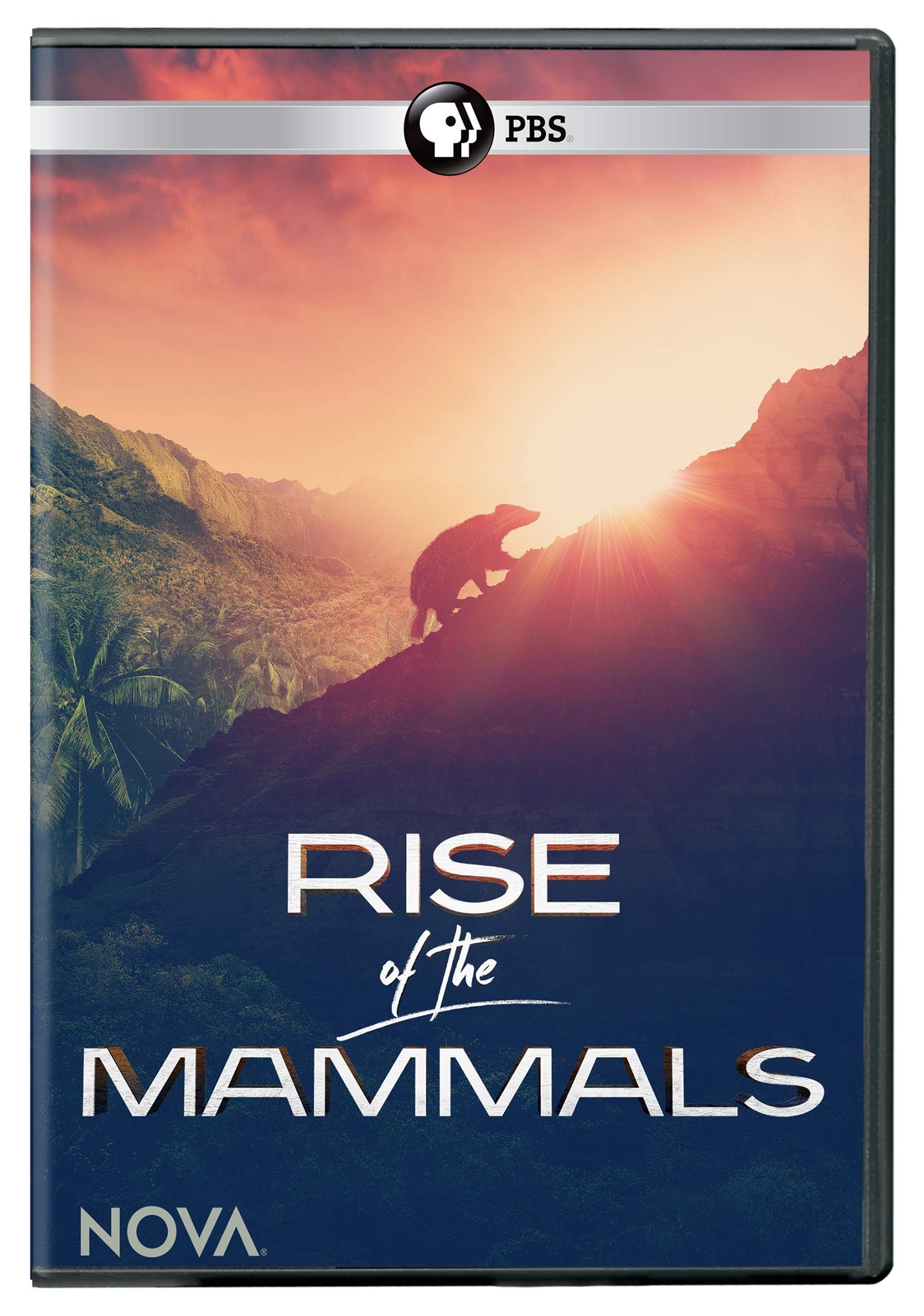 NOVA: Rise of the Mammals DVD (DVD)