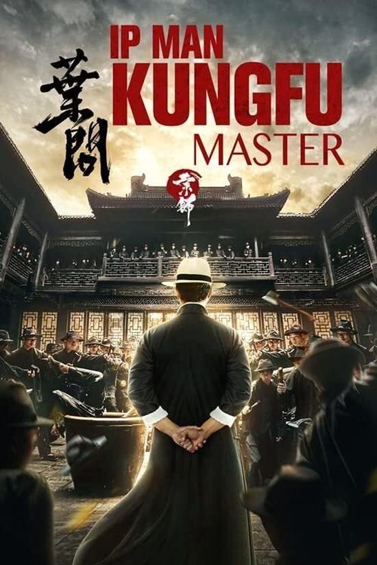 IP man - Kung Fu master (DVD)