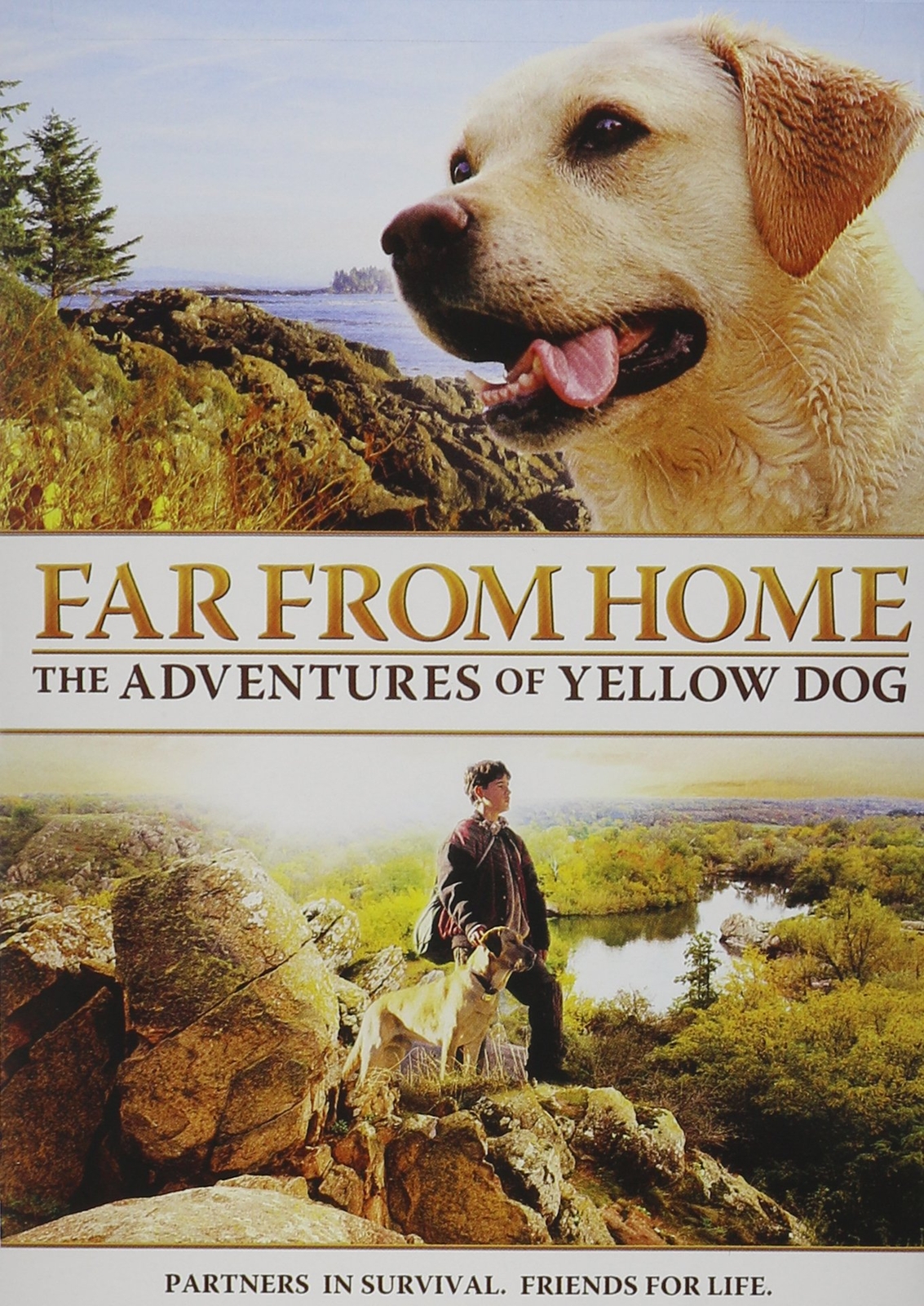 Far From Home: The Adventures of Yellow Dog (DVD) Mimi Rogers Bruce Davison