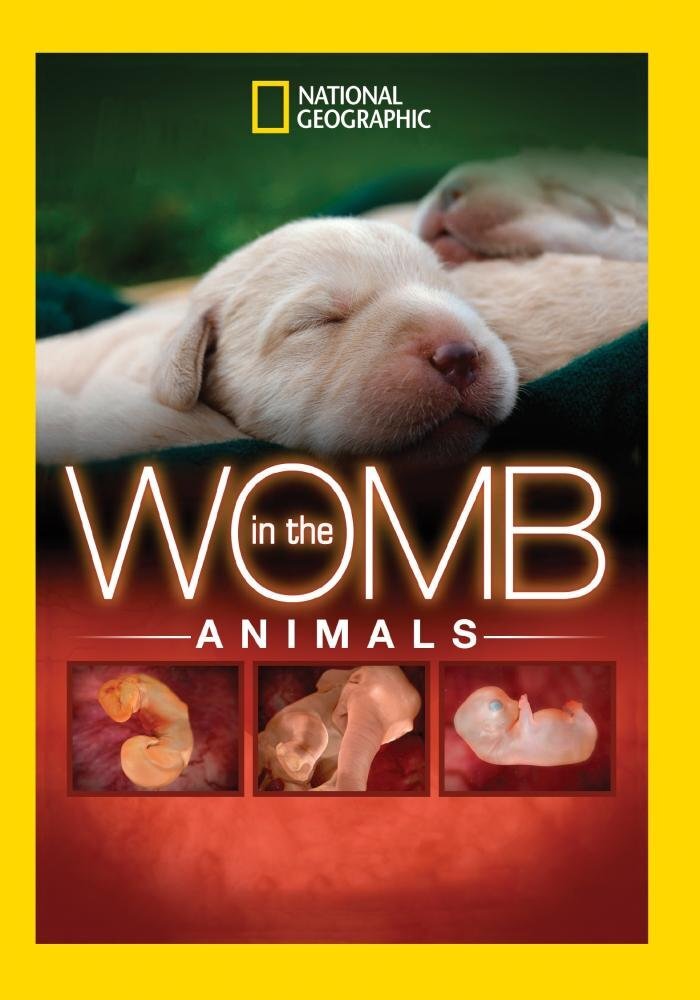 In The Womb: Animals (DVD)