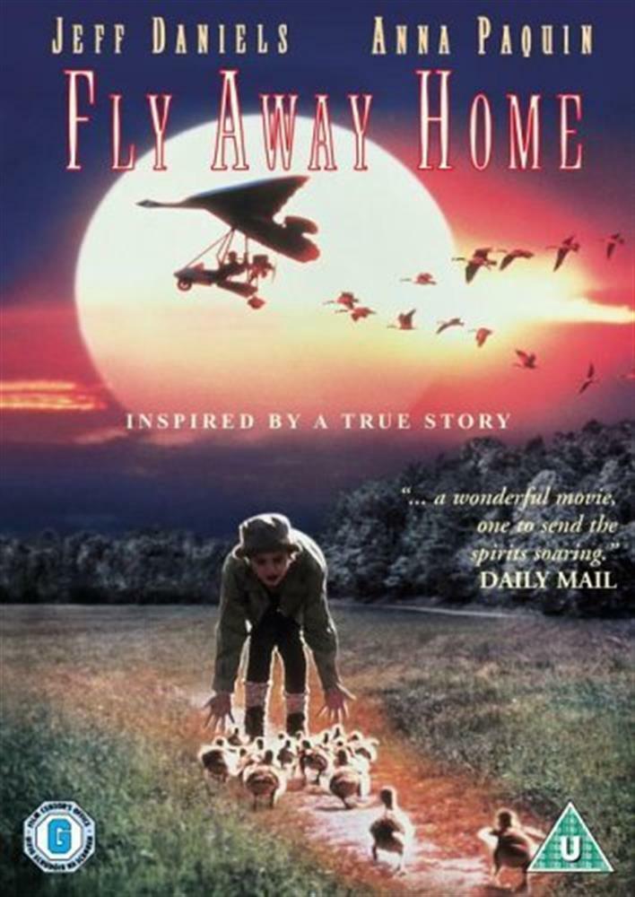 Fly Away Home [Edizione in lingua inglese] - aa.vv.