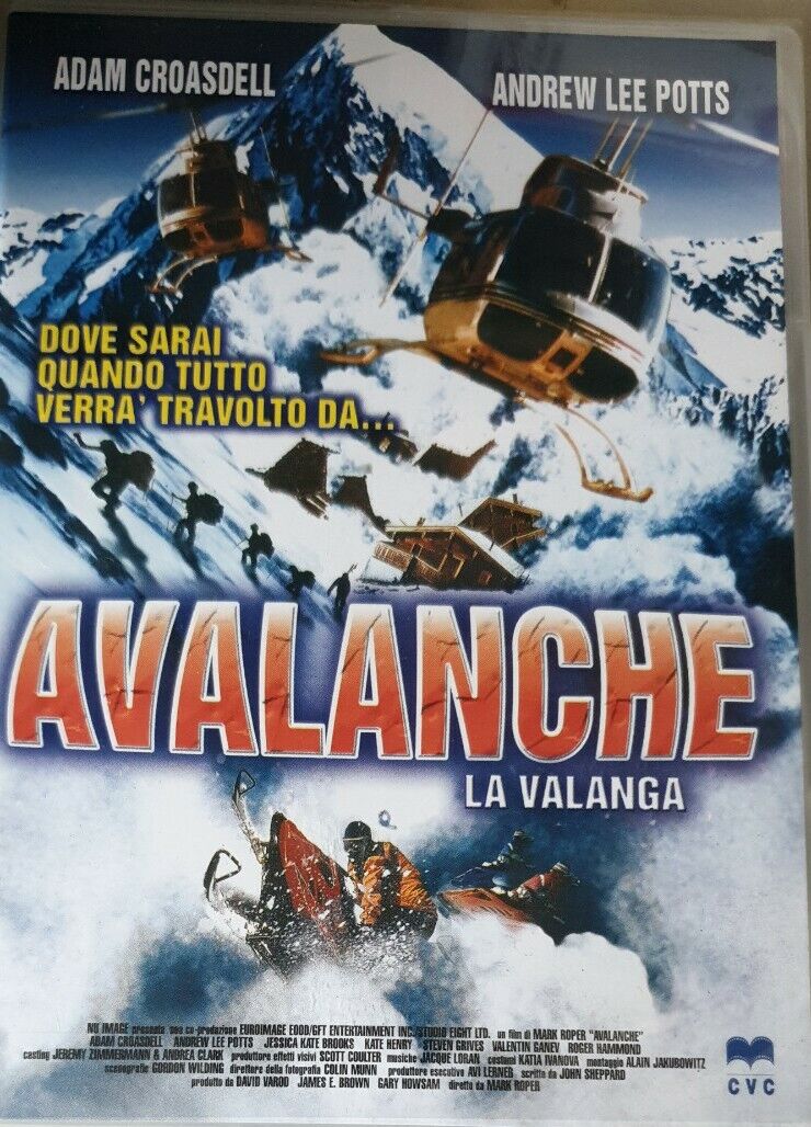 AVALANCHE LA VALANGA ADAM CROASDELL 2004 CVC DVD NUOVO SIGILLATO