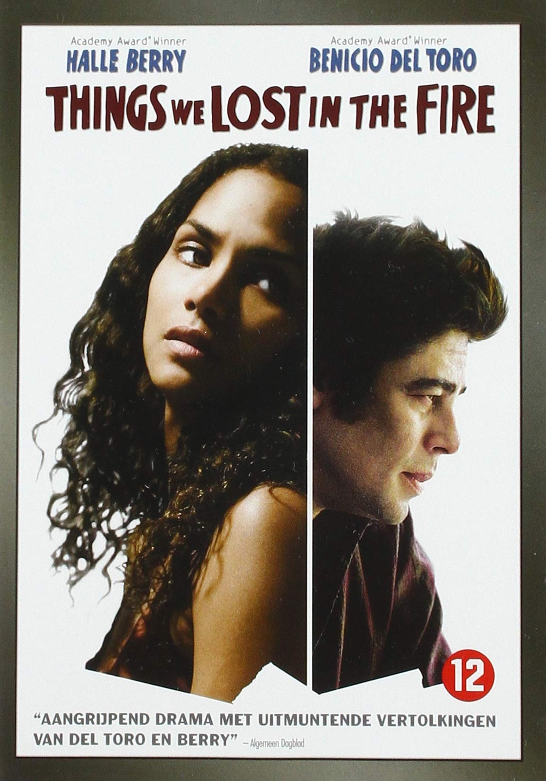 Things We Lost In The Fire 2010 (DVD)
