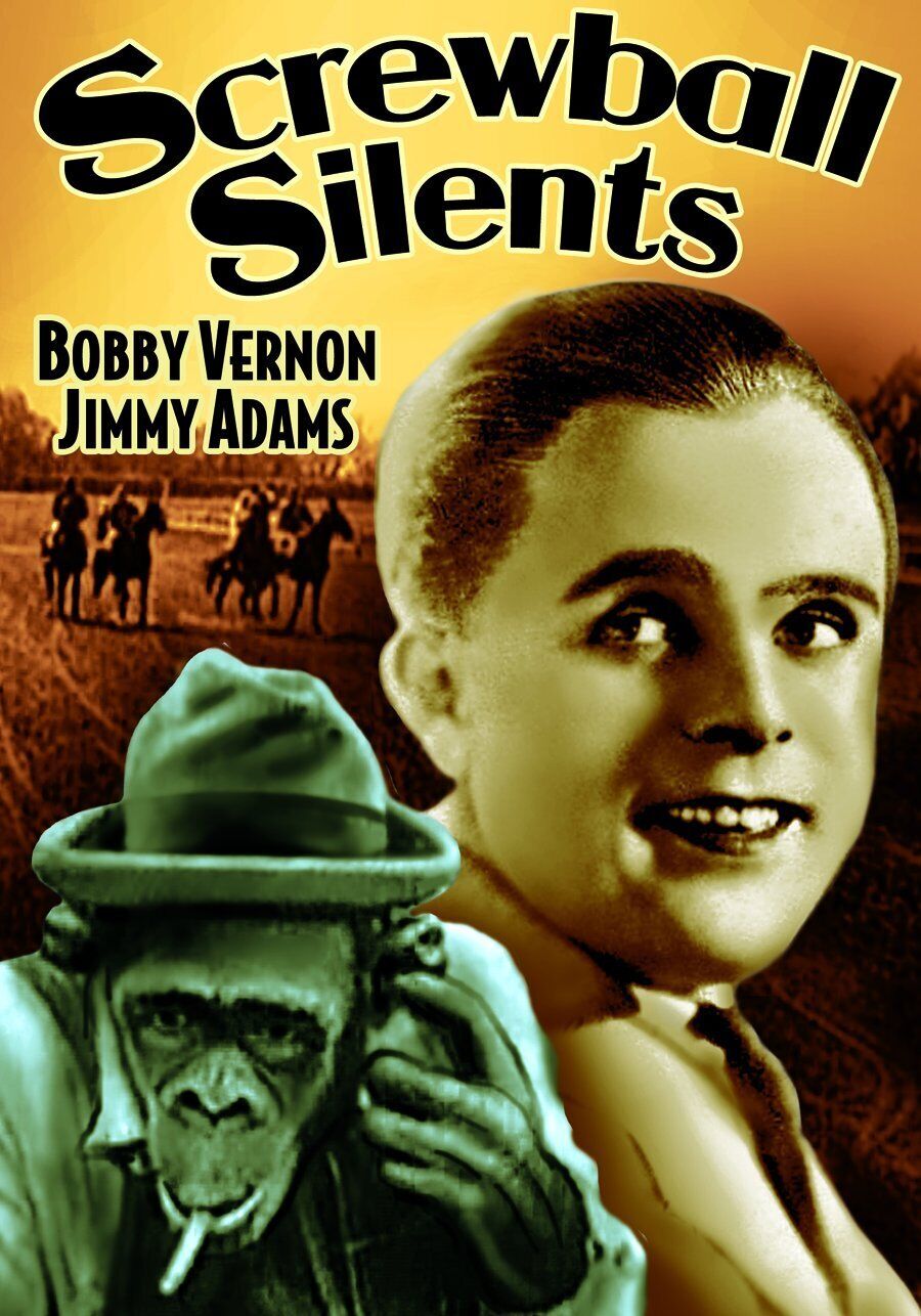 Screwball Silents - An Overall Hero (1920) / Nerve Tonic (1924) / Splash Y (DVD)