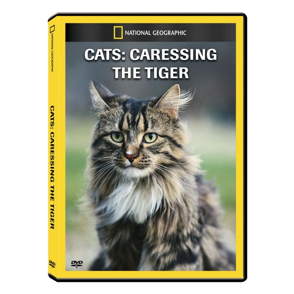 Cats: Caressing the Tiger (DVD)