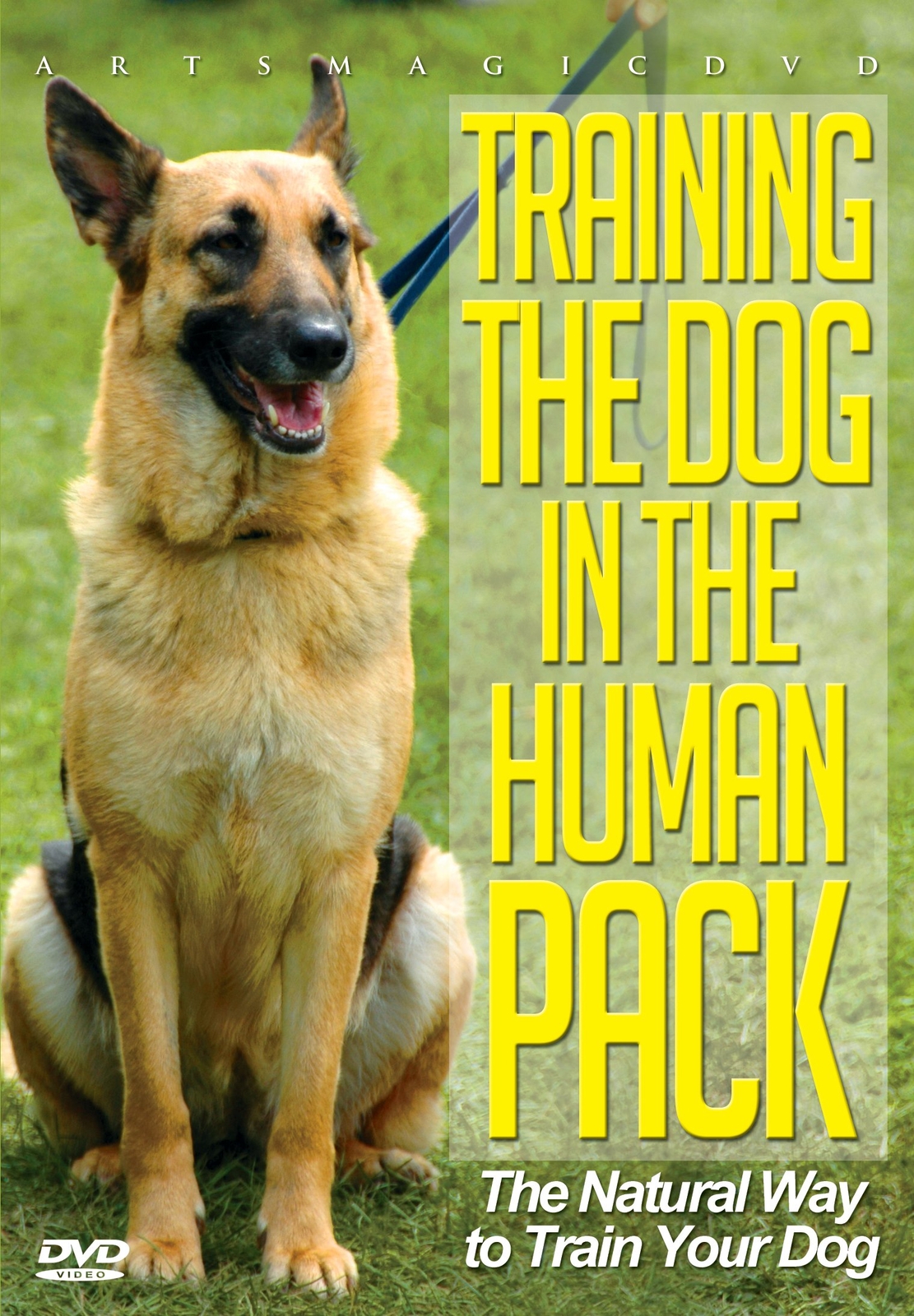 Training the Dog in the Human Pack (DVD) Various