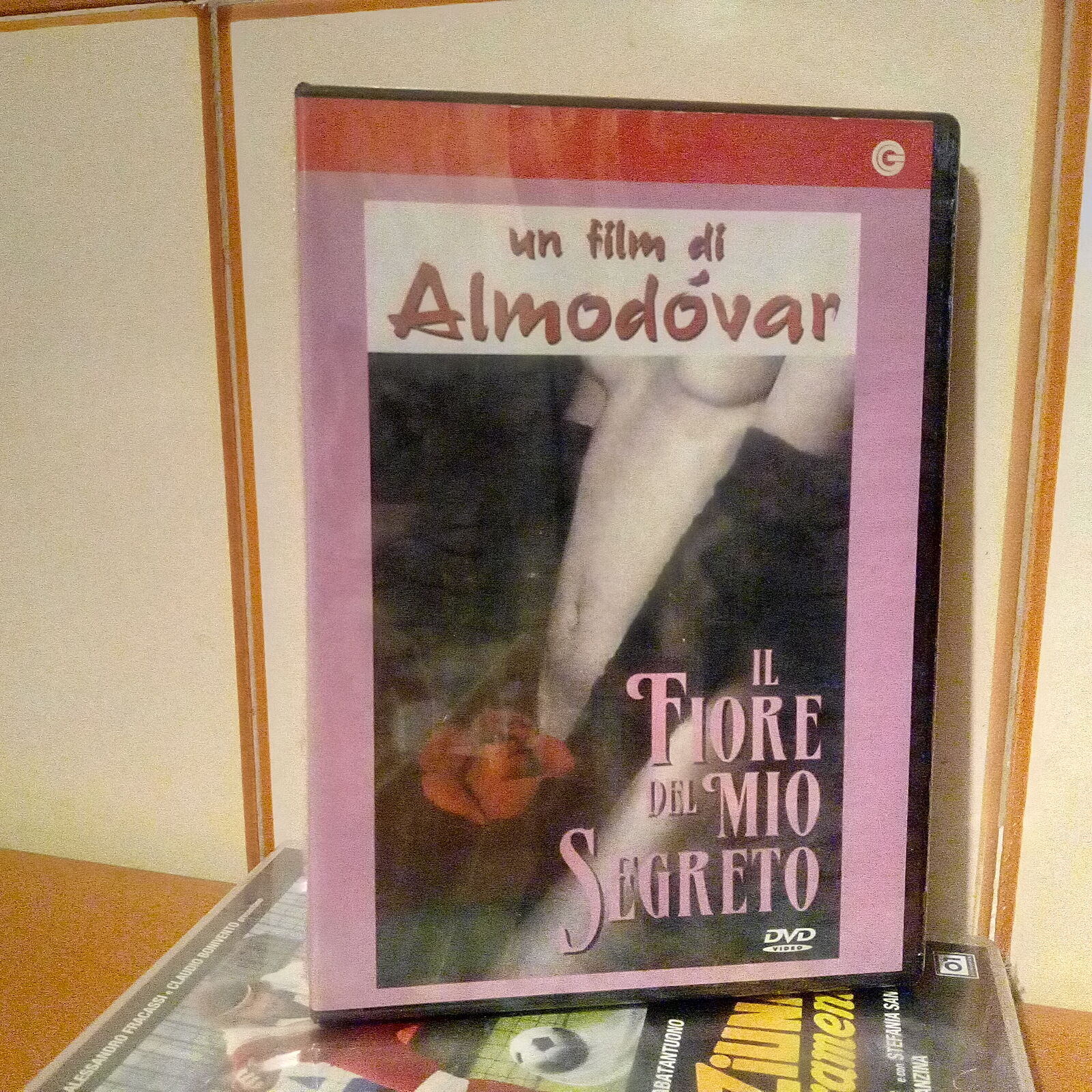 Il Fiore Del Mio Segreto - Pedro Almodovar Dvd Nuovo