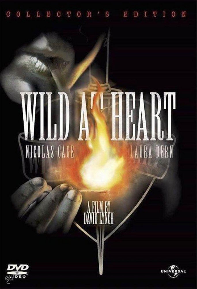 Wild At Heart 2005 (DVD)