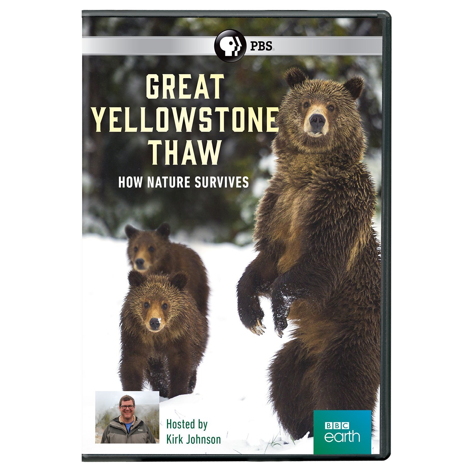 Great Yellowstone Thaw: How Nature Survives DVD (DVD)