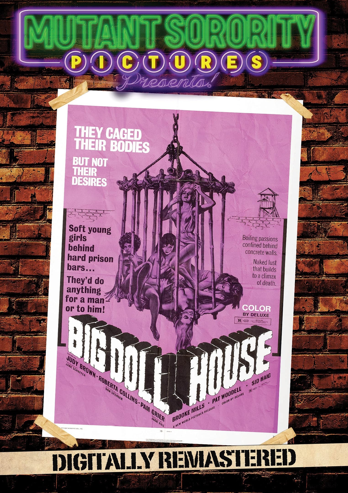 Big Doll House: Digitally Remastered (DVD) Roberta Collins Christiane Schmidtmer