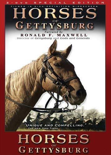 Horses of Gettysburg  (2 DVD Set) (DVD) Narrated by Ronald F. Maxwell