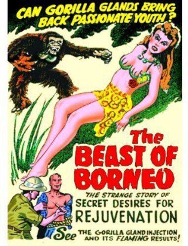 The Beast of Borneo (DVD) Mae Stuart John Preston Eugene Sigaloff
