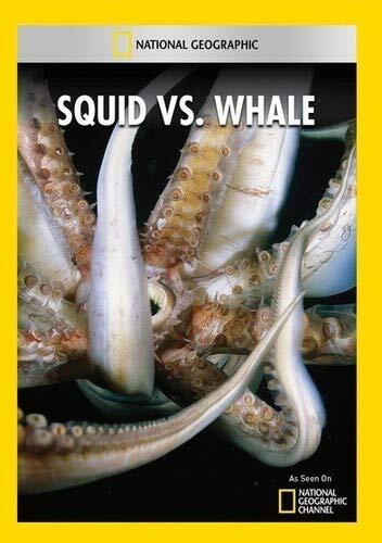 Squid vs. Whale (DVD)