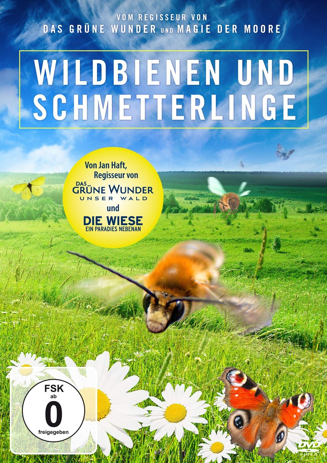Wildbienen und Schmetterlinge (DVD)