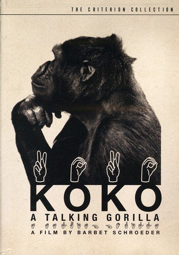 Koko: A Talking Gorilla (The Criterion Collection) (DVD) Koko (III) Carl Pribram