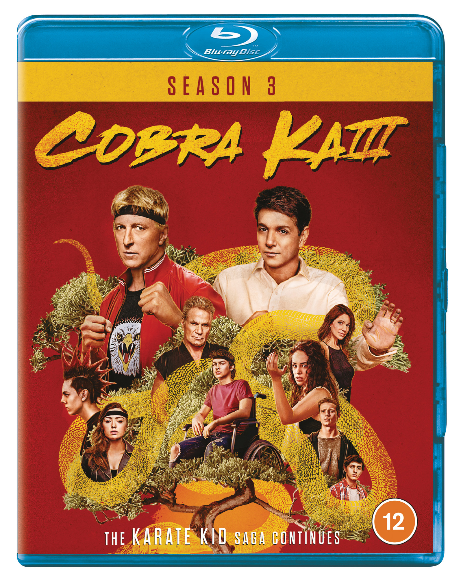 Cobra Kai: Season 3 (Blu-ray)