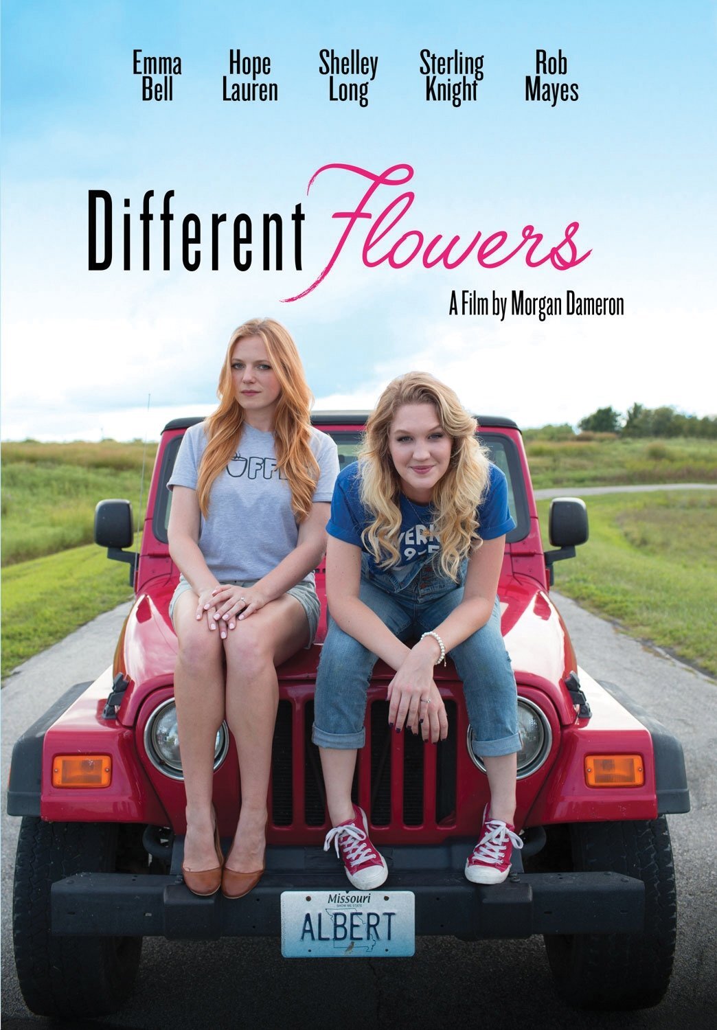 Different Flowers (DVD) Shelley Long Sterling Knight Steve Agee Emma Bell