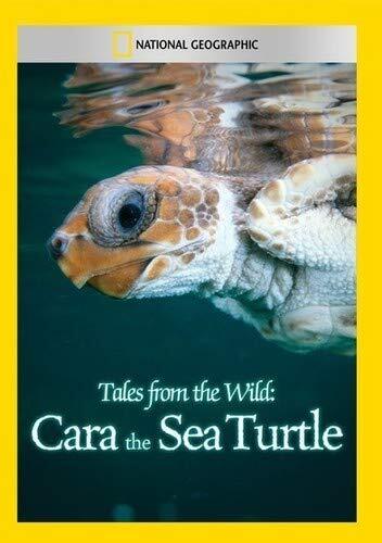 Tales from the Wild: Cara the Sea Turtle (DVD)