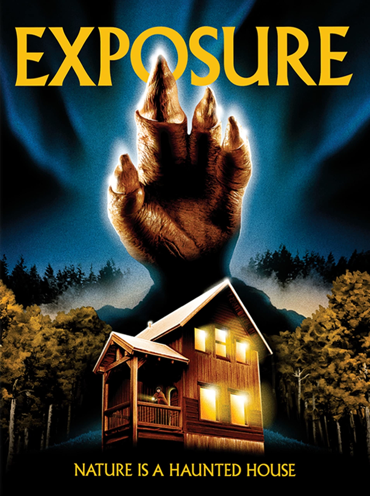 Exposure (Blu-ray) Various