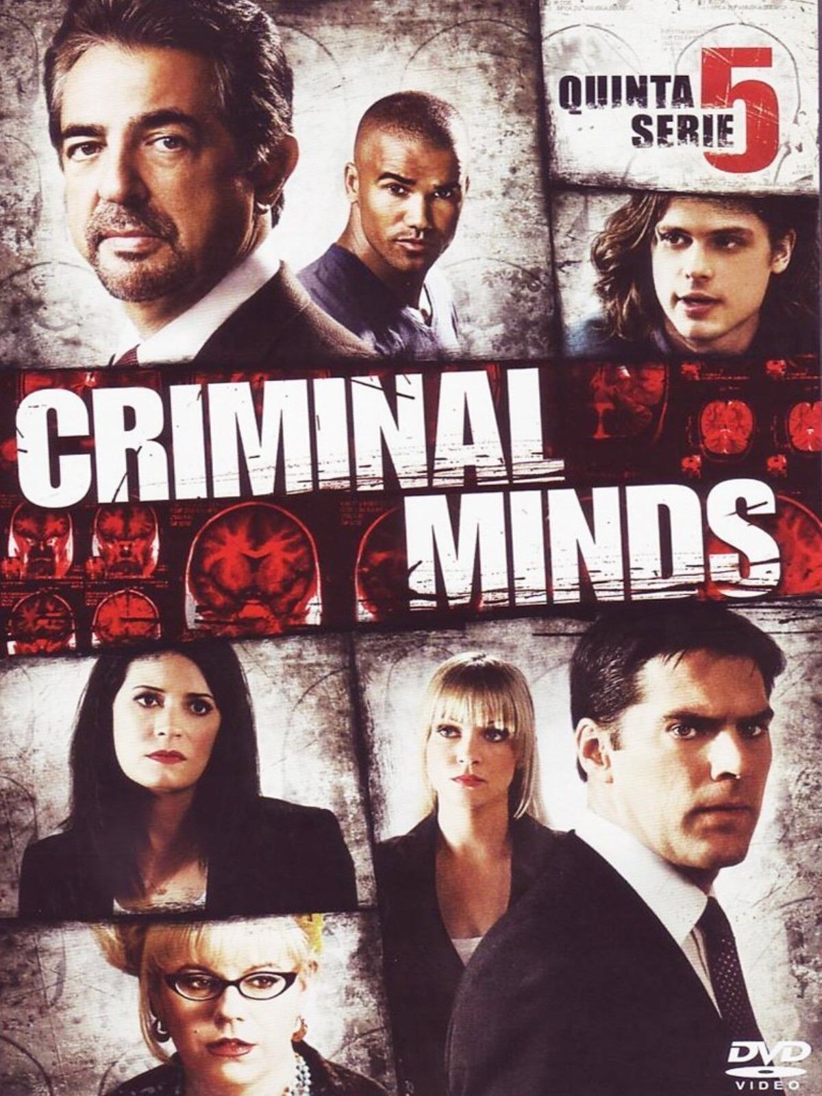 COFANETTO DVD - CRIMINAL MINDS STAGIONE 5 SERIE TV (6 DVD) Nuovo