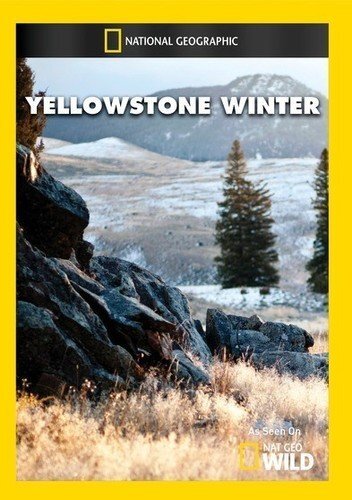 Yellowstone Winter (DVD)