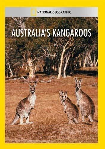 Australia's Kangaroos (DVD)