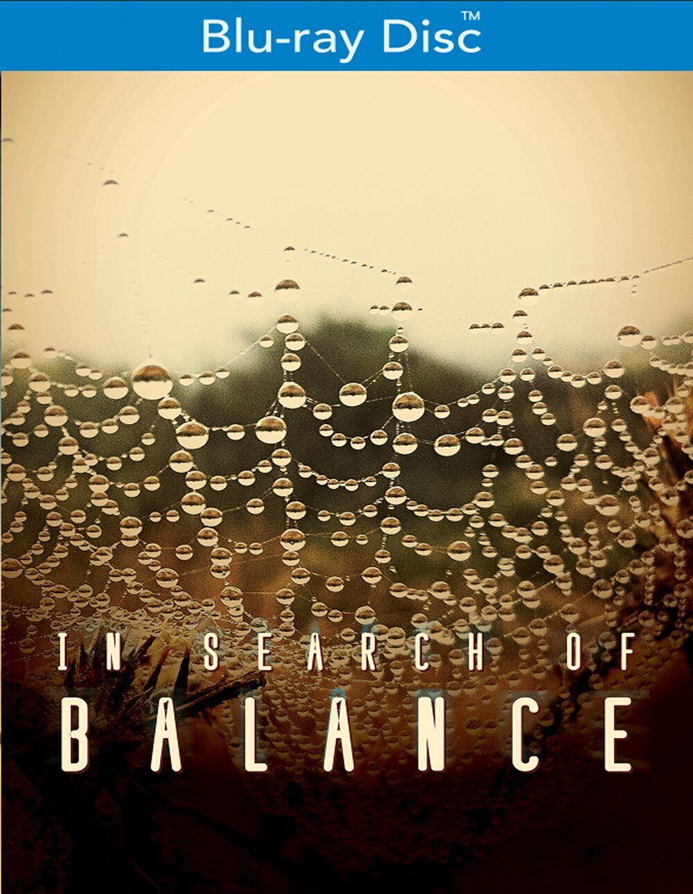 In Search of Balance (Blu-ray) Robert Ferretti Ronnie Sampson Terry Shintani