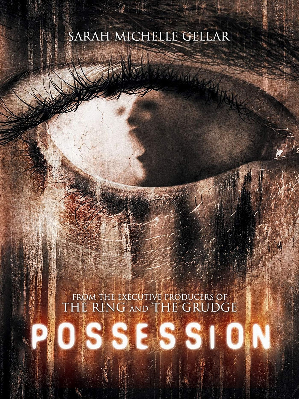 Possession (DVD) Sarah Michelle Gellar Lee Pace Chelah Horsdal Michael Landes
