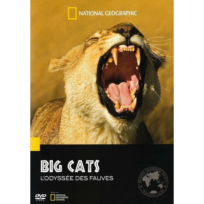 Bigs Cats L'Odissea Des Marroncini DVD Nuova