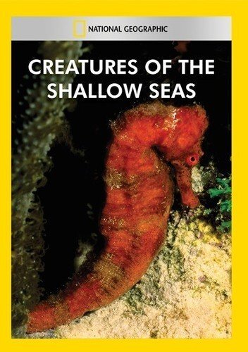 Creatures of the Shallow Seas (DVD)
