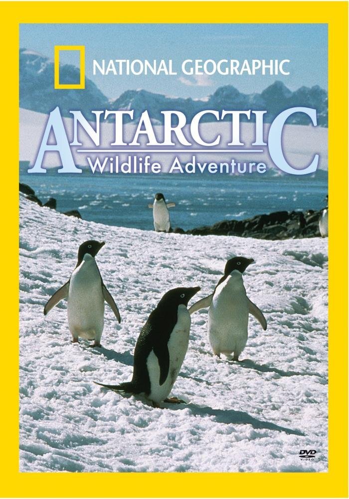 National Geographic: Antarctic Wildlife Adventure (DVD)