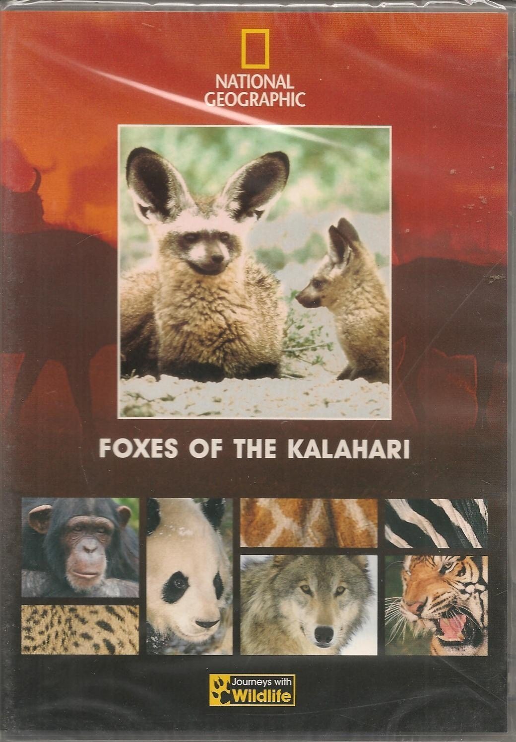 foxes of the kalahari (Import) DVD NUOVO
