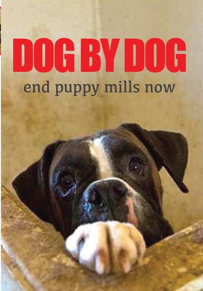 Dog By Dog (DVD) Documentary Cast